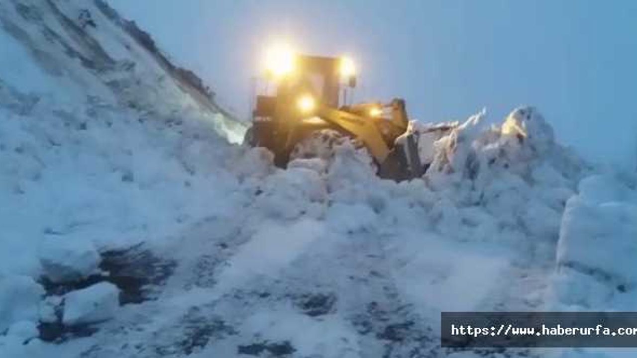 Adıyaman'da yoğun kar yağışı çok sayıda köy yolunu kapattı
