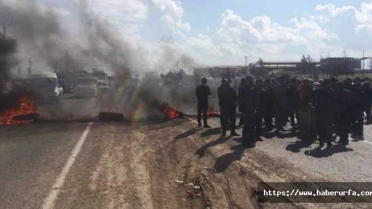 Şanlıurfa’da çiftçiler 'DEDAŞ’ı protesto etti