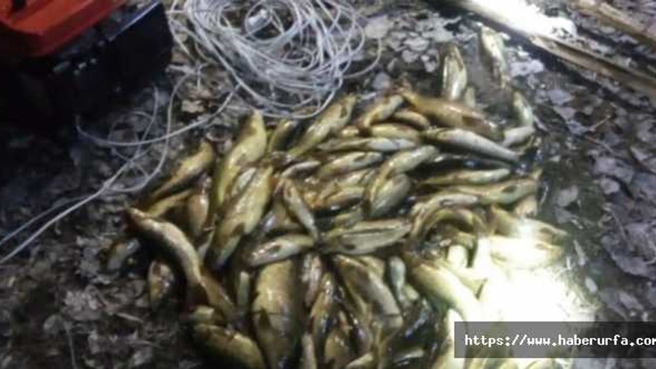 Harran'da Jeneratörle balık avlayan 3 kişi yakalandı
