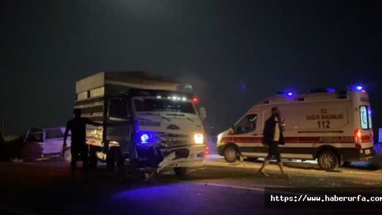Şanlıurfa'da 2 araç kafa kafaya çarpıştı: 1 yaralı