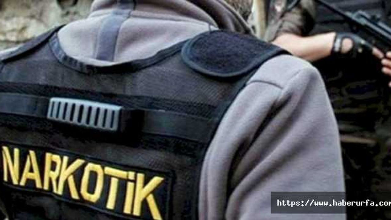 Şanlıurfa’dan İstanbul'a götürülen 22 kilo 520 gram esrar ele geçirildi