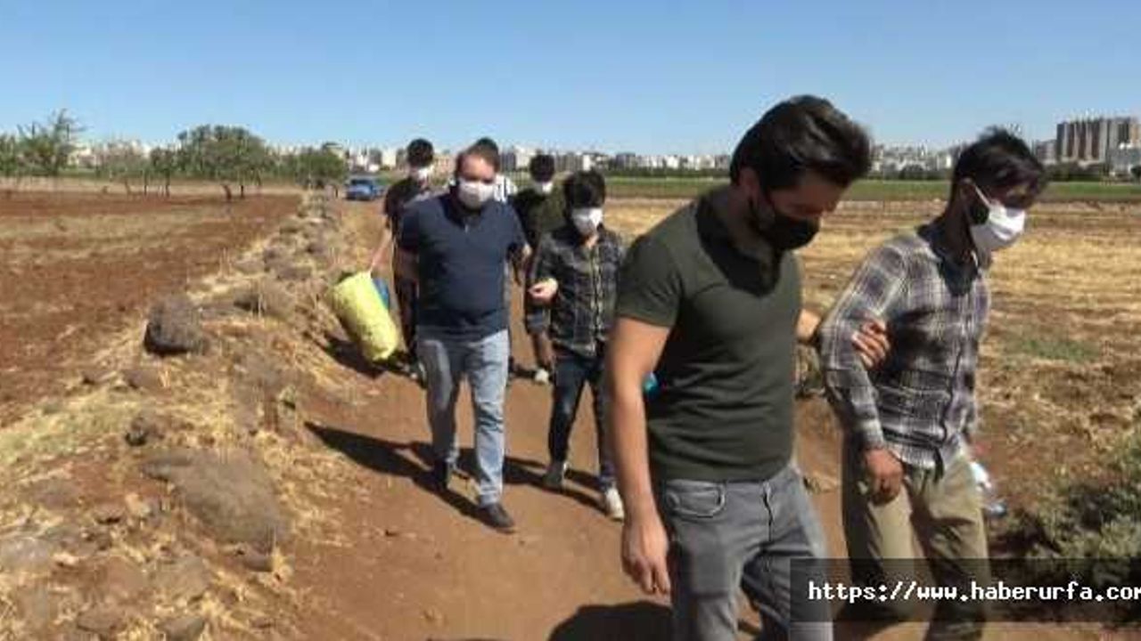 Siverek'te yabancı uyruklu kaçak göçmen operasyonu