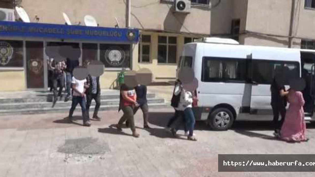 Urfa'da Terör operasyonu: 2 zanlı tutuklandı