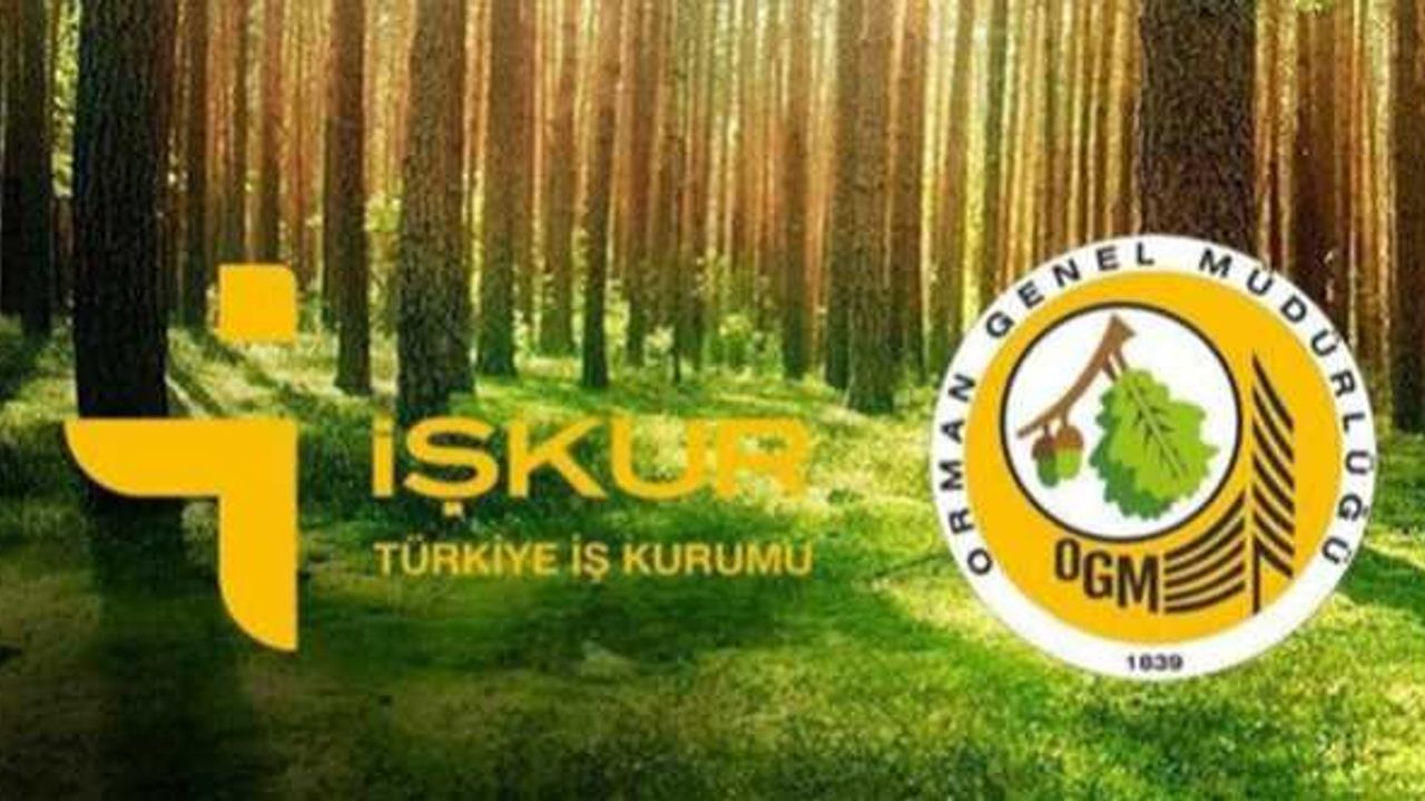 Urfa Orman Müdürlüğü İşkur'dan işçi başvuruları başladı