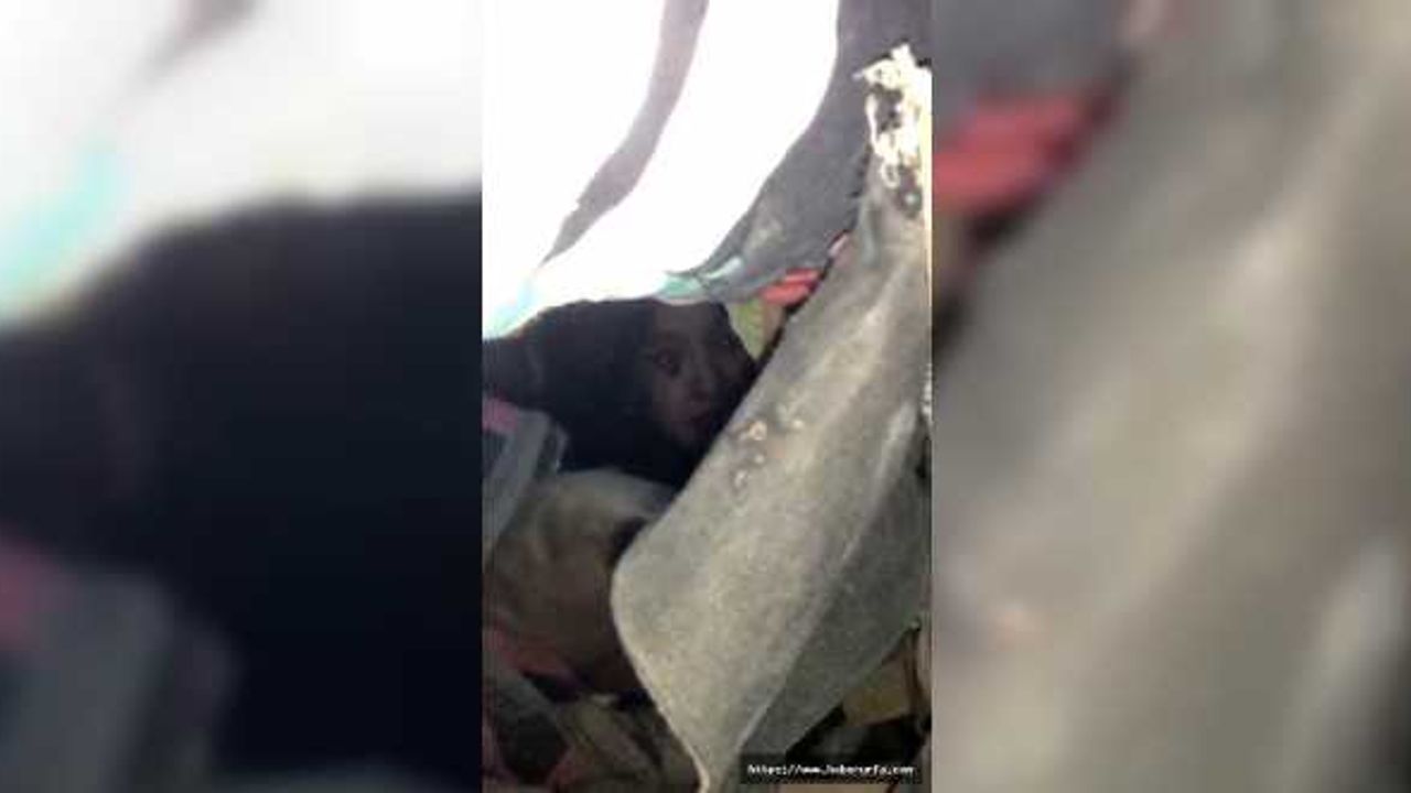 Enkaz altındaki 5 yaşındaki Yağmur: “Çok üşüyorum baba”