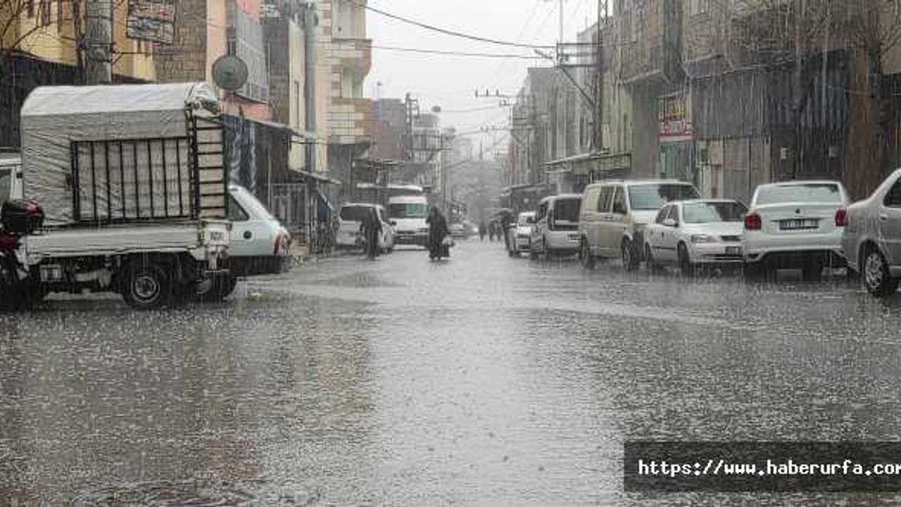 Şanlıurfa'da yağmur bereketi yaşanıyor