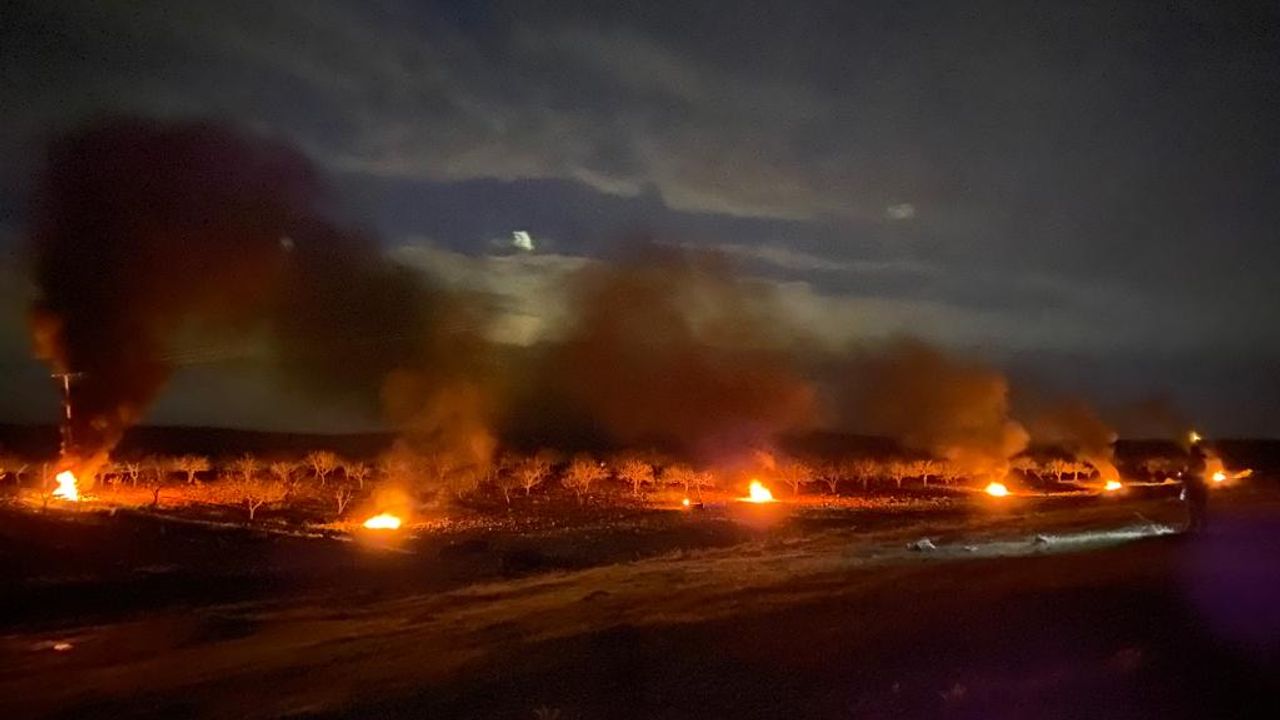 Şanlıurfa'da çiftçiler don olayına karşı ateş yaktı