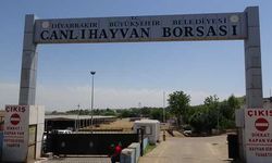 'ihbar ettin' mevzusu kanlı bitti: 1 ölü, 3'ü ağır 5 kişi yaralı