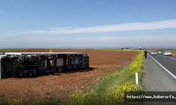 Şanlıurfa’dan İran’a giden tavuk yüklü tır devrildi
