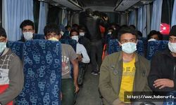Siverek'te yabancı uyruklu göçmen operasyonu