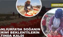 Şanlıurfa'da soğan, üreticisinin yüzünü güldürmedi