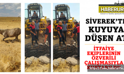 Siverek’te su kuyusuna düşen atı kurtarıldı