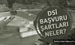 2021 İŞKUR ile DSİ işçi alımı başvurusu nasıl yapılır, şartları nelerdir?