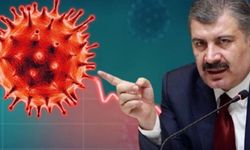 Bakan Koca vaka görünme oranı en çok artan 10 ili açıkladı