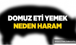 İslam'da Domuz Eti Neden Haram kılınmıştır?