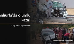 Urfa'da feci kaza: 1 ölü 2 yaralı