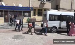 Urfa'da Terör operasyonu: 2 zanlı tutuklandı