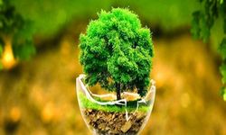 Hz. Âdem ile Havva’nın (a.s.) Cennet Hayatı nasıldı?