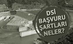 DSİ Farklı Alanlardan 70 Mühendis Alımı Yapacak