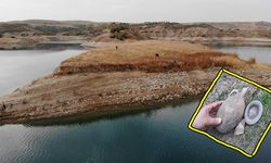Fırat'ın Suyu Çekilince heyecanlandıran buluş keşfedildi