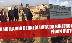 İHH Hollanda Derneğinden Urfa'da Fidan dikimi