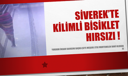 Siverek'te Kilimli Bisiklet hırsızlığı