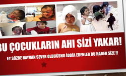 Viranşehirde köpeklerin küçük çocuklara saldırıp 1'ini öldürmesi unutulmadı