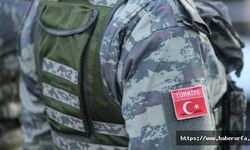 Ceylanpınar Sınırında DEAŞ'lı terörist yakalandı