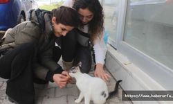 Sattığı yiyeceklerin parasıyla hayvanlara mama alıyor