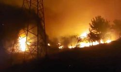 Hatay’daki Orman Yangını Söndürülemiyor