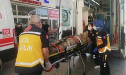 Yürek Burkan Kaza: 2 Jandarma Şehit oldu