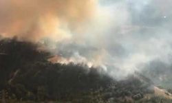 Adana’da Büyük Orman Yangını