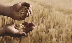Tahıl Zirvesi Türkiye Öncülüğünde Yapılacak
