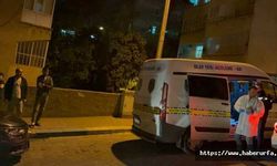 Urfa'da kardeşlere silahlı saldırı: 2 ölü
