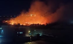 Şanlıurfa'da ormanlık alanda korkutan yangın
