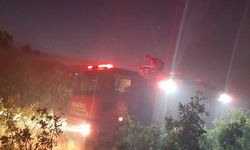 Lice'de orman yangında 6 ev tahliye edildi