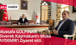 Mustafa Gülpınar Siverek Kaymakam'ı Aydemir'i ziyaret etti