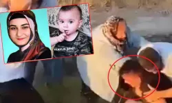 Komşu Şiddeti, Şehit Babasına Uzanan Yumruklar: Kamuoyu Ayakta!