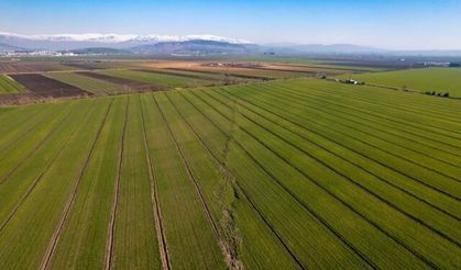 Kahramanmaraş'ta tarlalar ikiye bölünürken, görüntülerde depremin şiddeti gözler önüne serildi