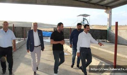 Devletten 4 milyon lira destek aldı, günde 5 ton süt üretmeyi hedefliyor