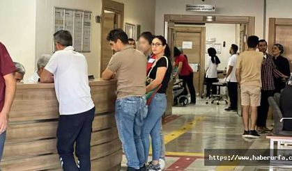 Viranşehir'de Dağda terörist, şehirde öğretmenlik yapan kişi yakalandı