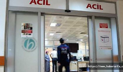 Fare zehri içtikleri iddia edilen 3 kız öğrenci zehirlendi