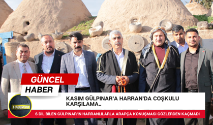 Harranlılarla Arapça sohbet eden Gülpınar'a sıcak karşılama