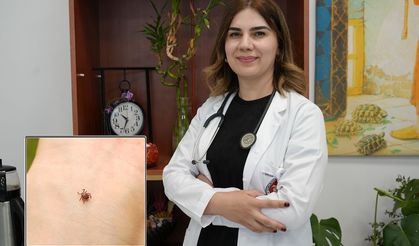 Uzmanlar Kene ısırmasına karşı uyardı