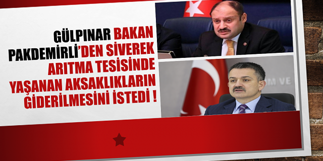Gülpınar Bakan Pakdemirli'den Siverek Şebeke Suyu İçin Talepte Bulundu