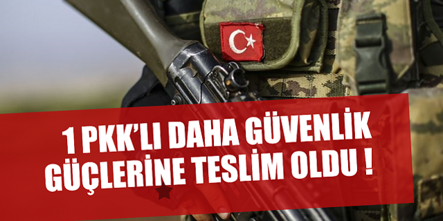 PKK’da çözülme sürüyor, 1 PKK'lı daha teslim oldu