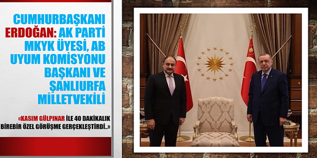 CB Erdoğan Kasım Gülpınar ile Görüştü