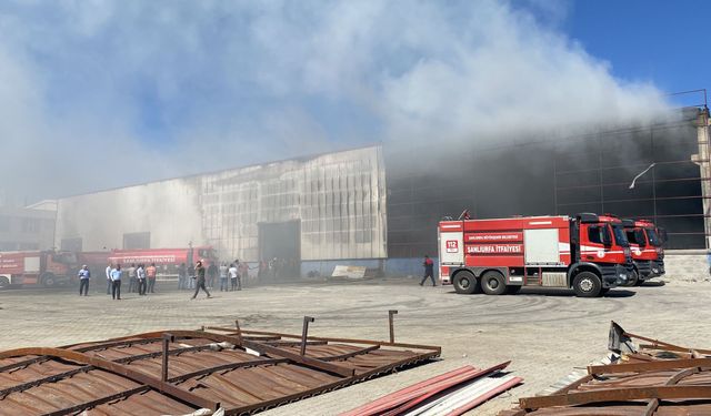 Geri dönüşüm fabrikasında yangın