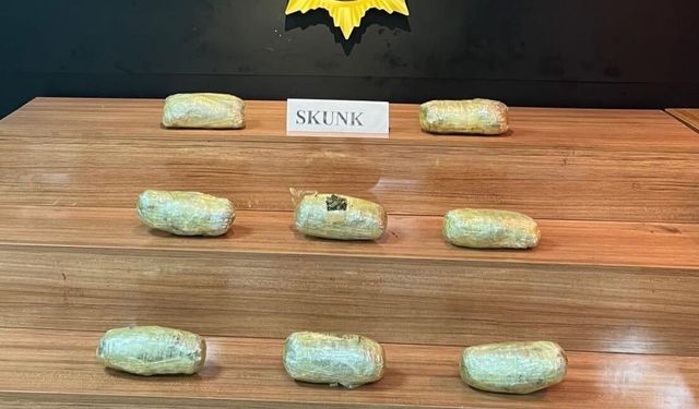 Şanlıurfa'da uyuşturucu operasyonu
