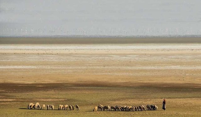 Kuraklık Kapıda Değil, İçeride: Türkiye ve Güneydoğu'nun Susuz Geleceği